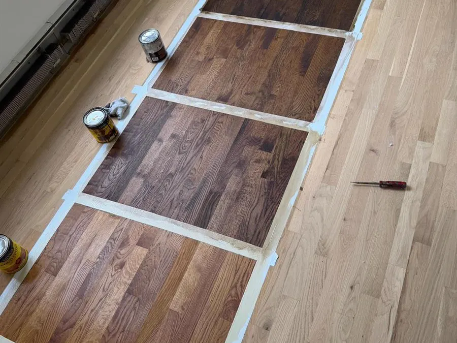 Four stain colors tested side by side on a sanded oak floor